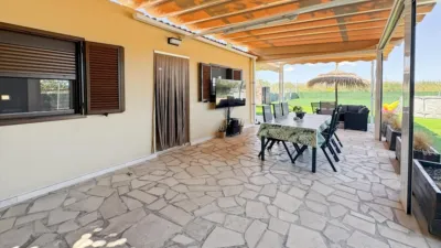 Rustic Finca in Playa de Muro photo 13