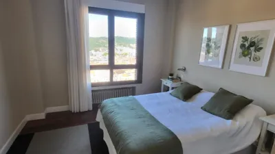 Top floor apartment on Juan Antonio Zunzunegui Etorbidea photo 7