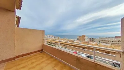 Apartment in Los Arenales del Sol photo 2