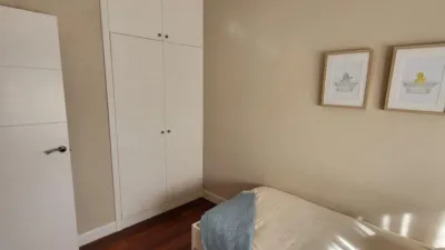 Top floor apartment on Juan Antonio Zunzunegui Etorbidea photo 9