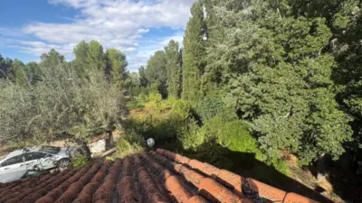 Chalet in Castilla La Mancha photo 29