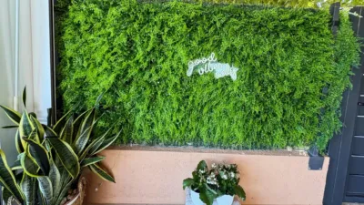 Rustic Finca in Playa de Muro photo 10