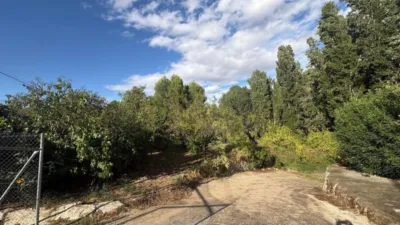 Chalet in Castilla La Mancha photo 17