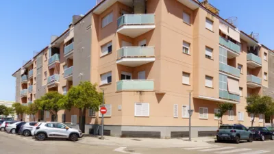 Penthouse in El Vivero photo 30