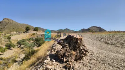 Rustic Finca in Morata photo 33