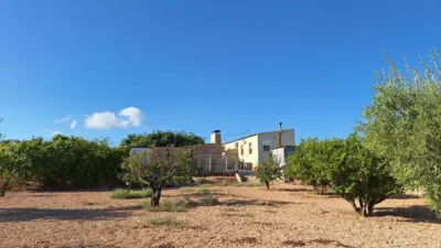 Rustic farm on Calle Solana La photo 60