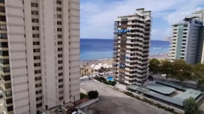 Apartment in Levante photo 11