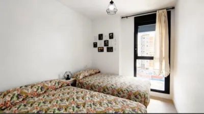 Apartment in Saladar photo 22