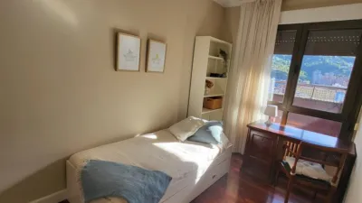 Top floor apartment on Juan Antonio Zunzunegui Etorbidea photo 8