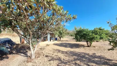 Rustic farm on Calle Solana La photo 59
