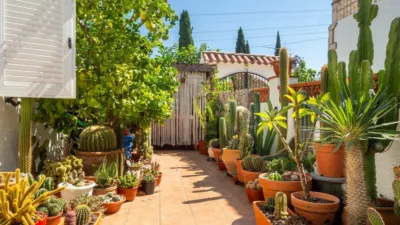 House on Carrer de la Teranyina photo 30