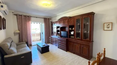 Pis – Torrevieja - Vista 2