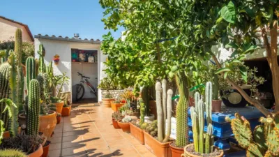 House on Carrer de la Teranyina photo 27