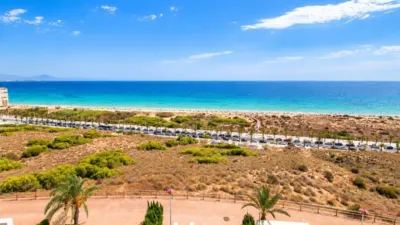 Apartment in Arenales del Sol photo 9