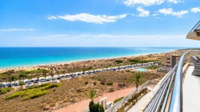 Apartment in Arenales del Sol photo 4