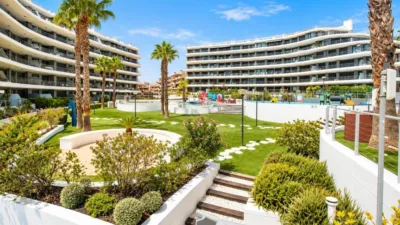 Apartment in Arenales del Sol photo 50
