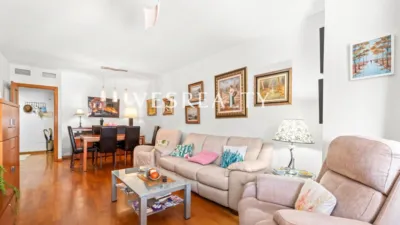 Apartment on Maestro Caballero Street photo 2