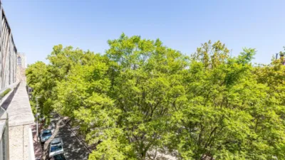 Duplex Penthouse in El Ranero - San Basilio photo 24