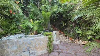 House in San Juan Playa photo 26