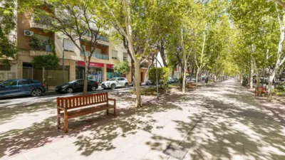 Duplex Penthouse in El Ranero - San Basilio photo 30
