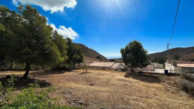 Rustic Finca in Marina de Cope photo 24