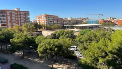 Apartment in Sur photo 20