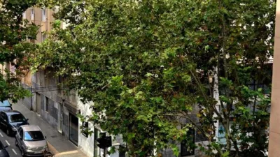 Apartment in Elx photo 37