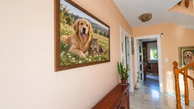 Semi-detached house on Ceuta Street photo 59