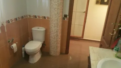 House in Villanueva de La Reina photo 30