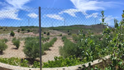 House in Higueral photo 4