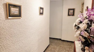 Apartment in Elx photo 35