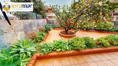 Chalet in Albarrosa photo 52