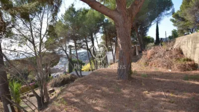 Casa en Quatre Camins photo 15
