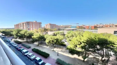 Apartment in Sur photo 21