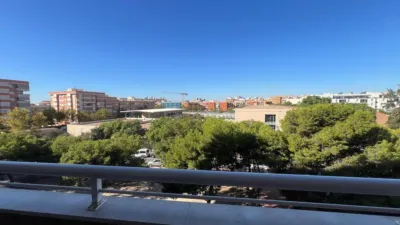 Apartment in Sur photo 19