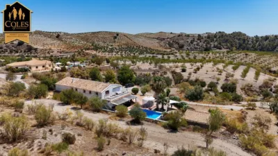 Rustic Finca on Calle Maguas photo 3