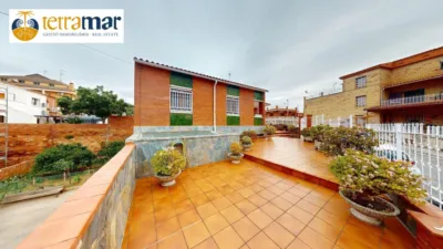 Chalet in Albarrosa photo 46