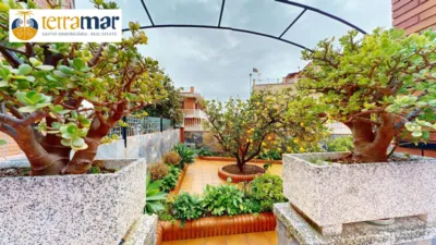 Chalet in Albarrosa photo 48