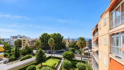 Apartment in Can Pastilla photo 3