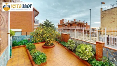 Chalet in Albarrosa photo 47