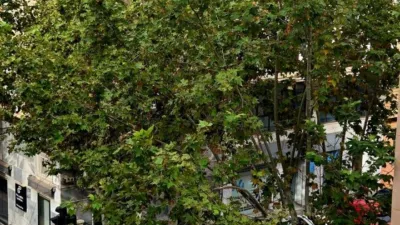 Apartment in Elx photo 40