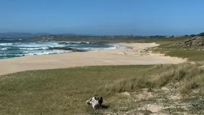 Piso en Corrubedo photo 10