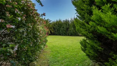 House on Calle La Cochera photo 33