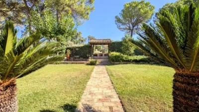 Rustic Finca on Calle Santuario Virgen de La Cabeza photo 15