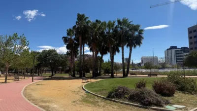 Apartment in Churra photo 4