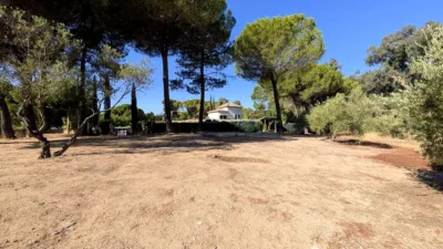 Rustic Finca on Calle Santuario Virgen de La Cabeza photo 26