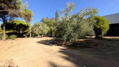 Rustic Finca on Calle Santuario Virgen de La Cabeza photo 20