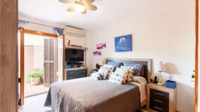 Apartment in Carrer dels Pins photo 10