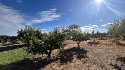 Rustic farm on Camino del Albar S-N photo 30