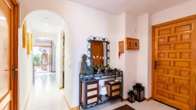 Apartment in Carrer dels Pins photo 16